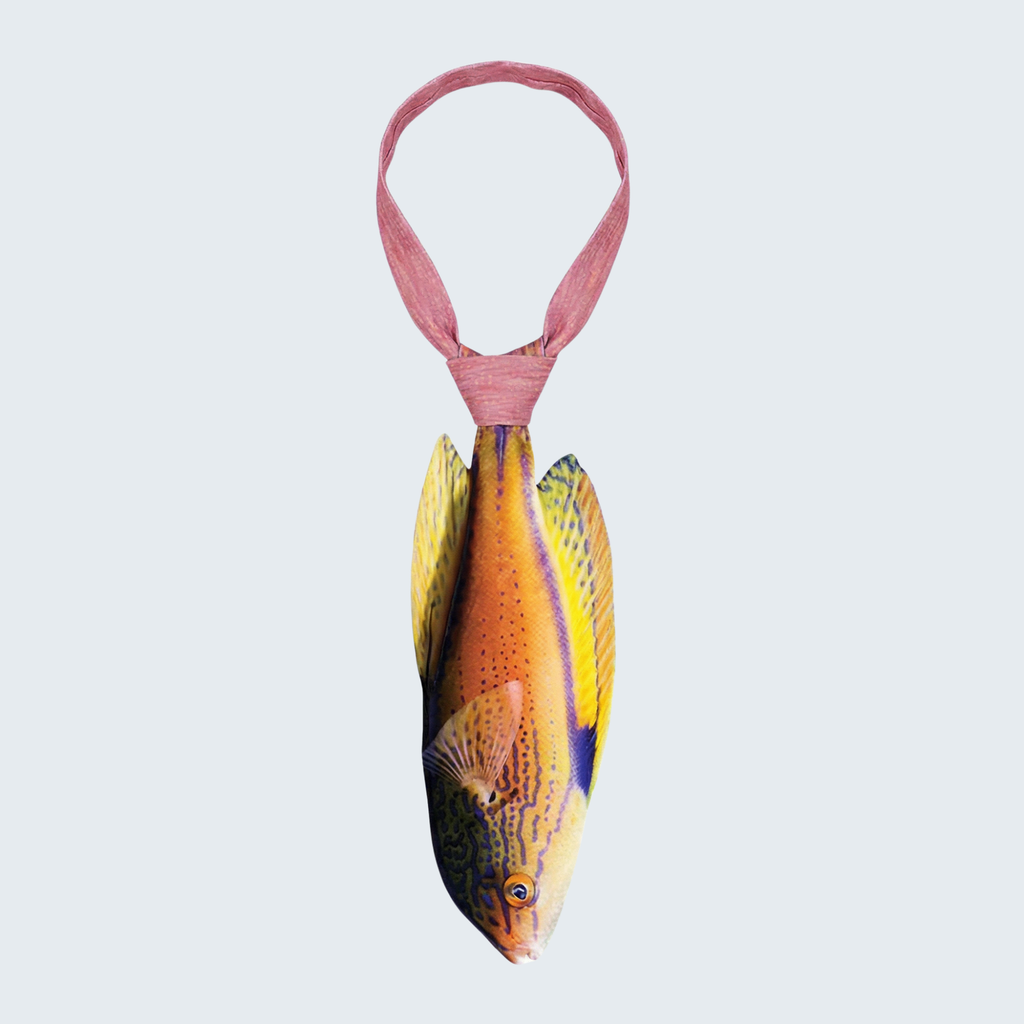 Evolyx© Lineatus Fairy Wrasse