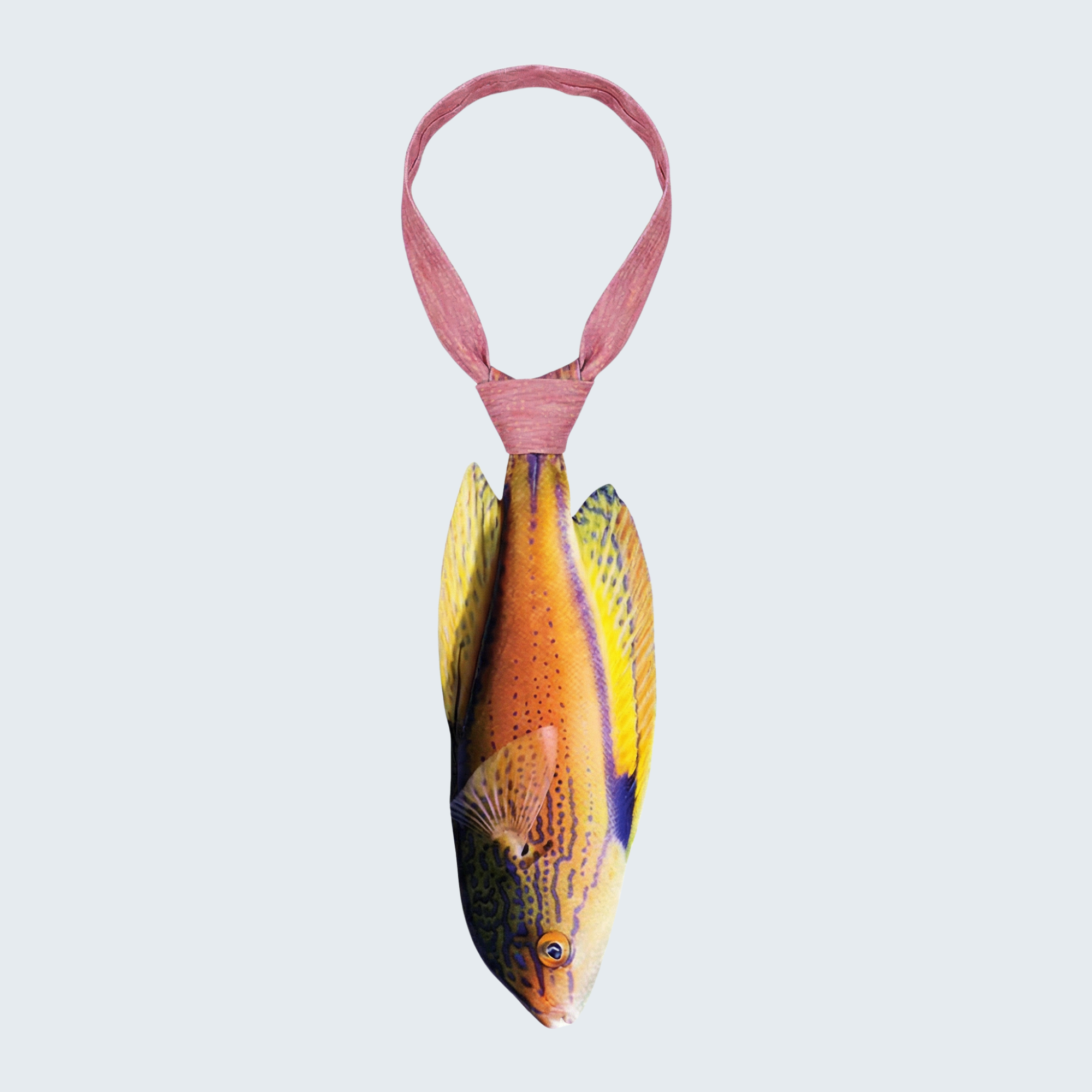 Evolyx© Lineatus Fairy Wrasse