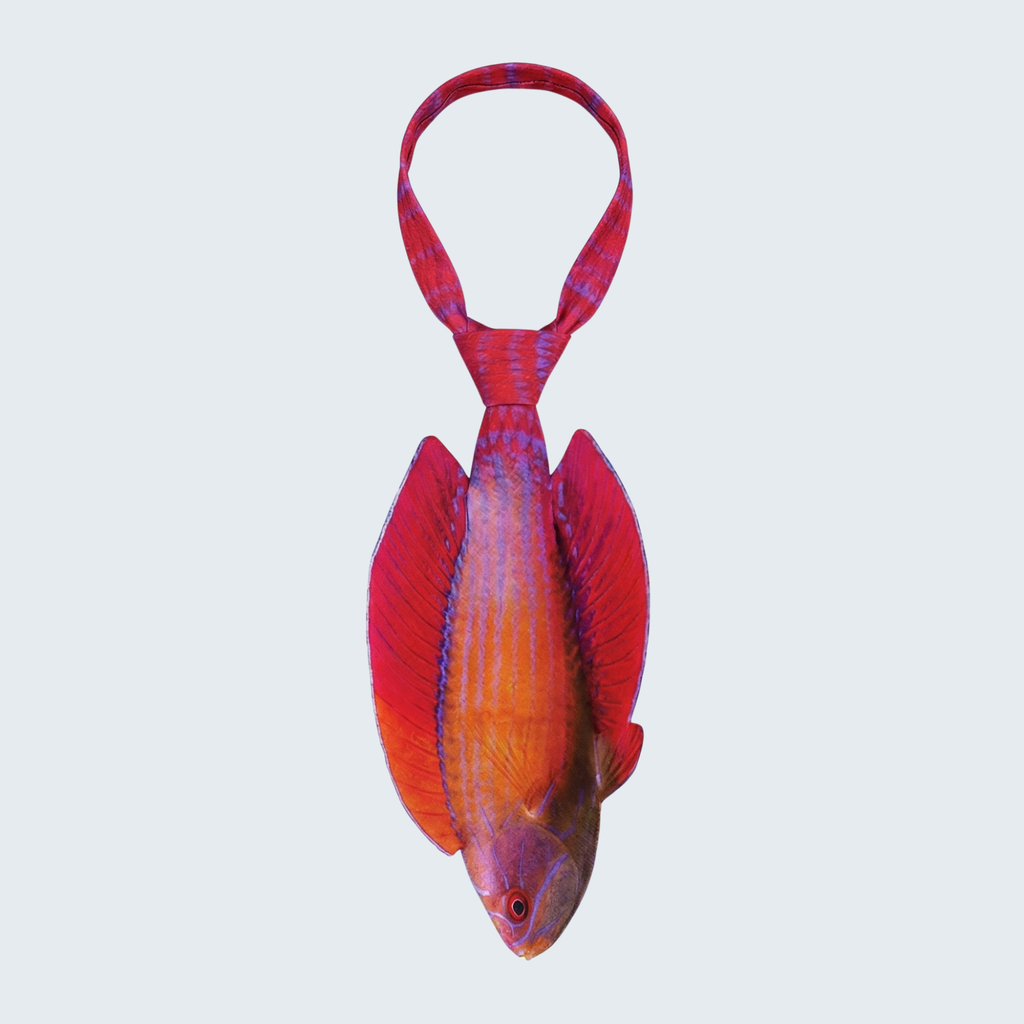 Evolyx© Red Sea Eightline Flasher Wrasse