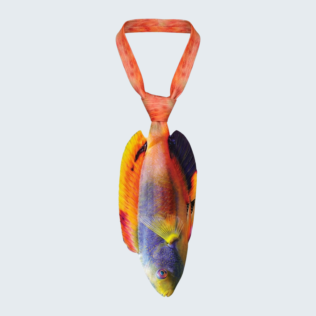 Evolyx© Scott's Fairy Wrasse