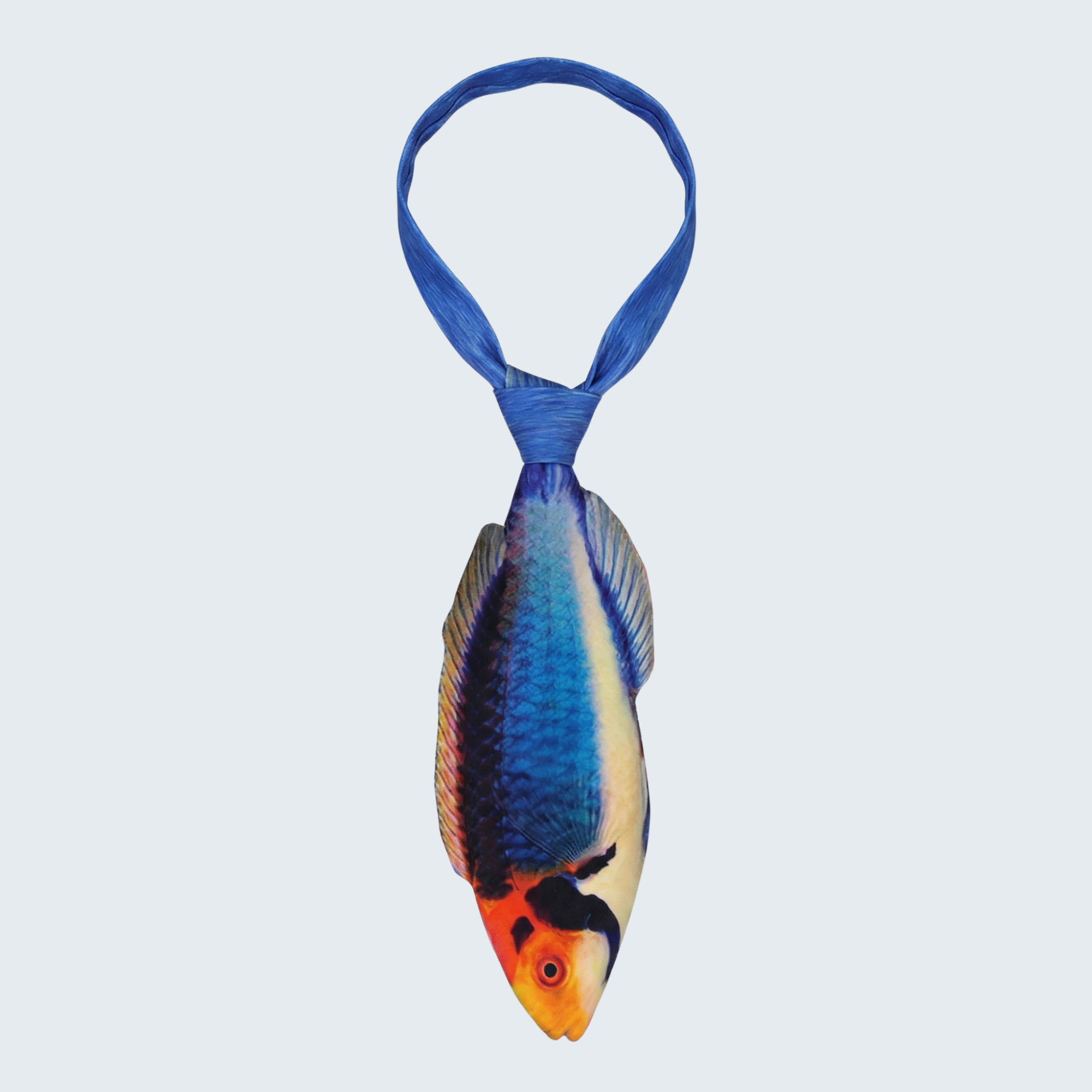 Evolyx© Solar Fairy Wrasse