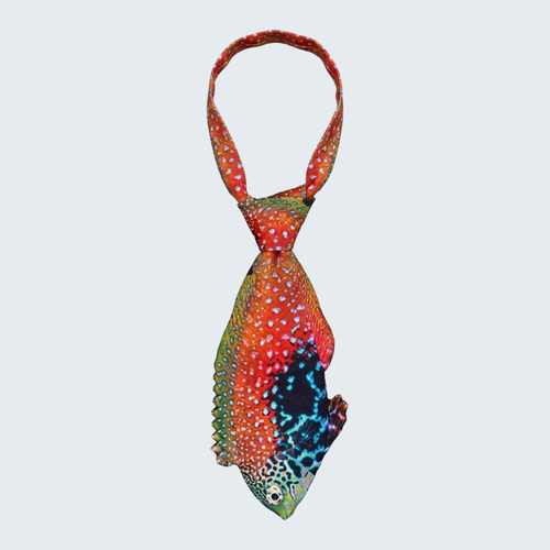 Evolyx© Blue Star Leopard Wrasse