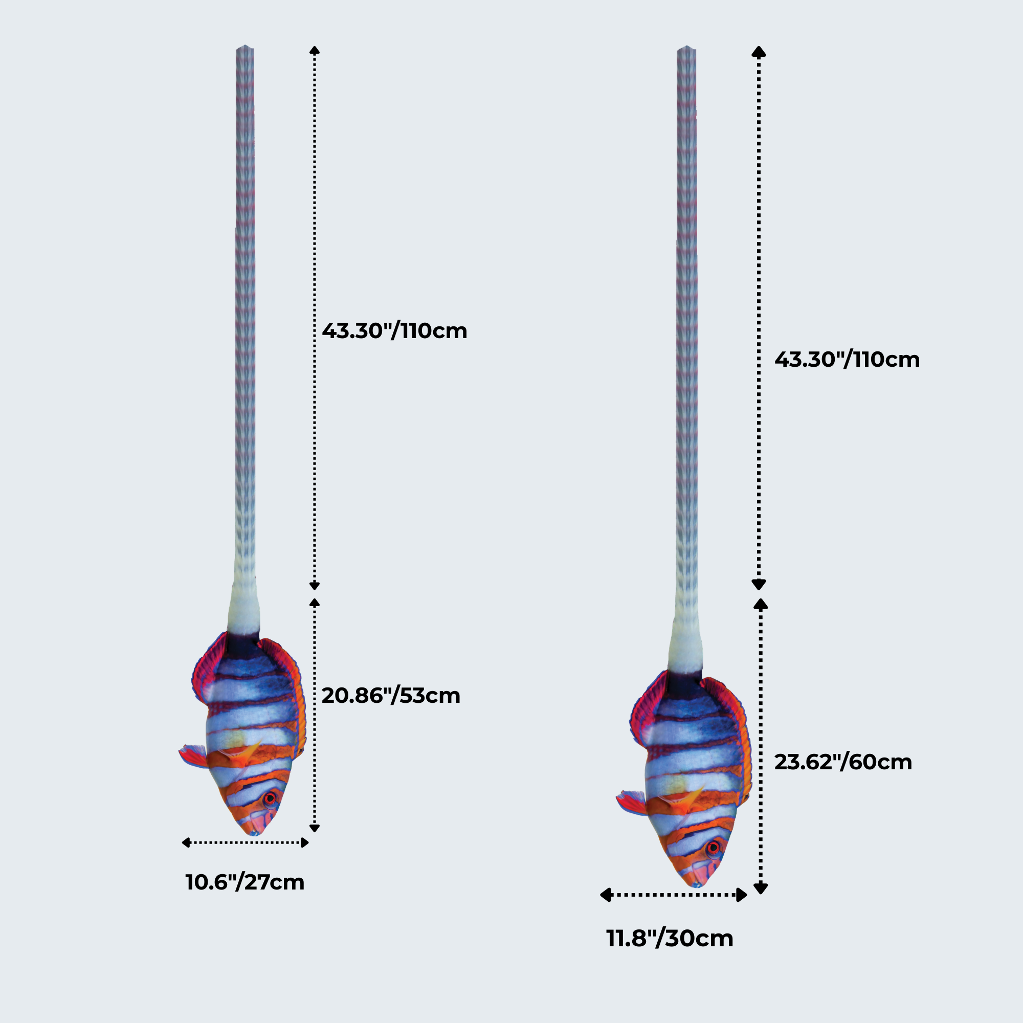 Evolyx© Harlequin Tuskfish