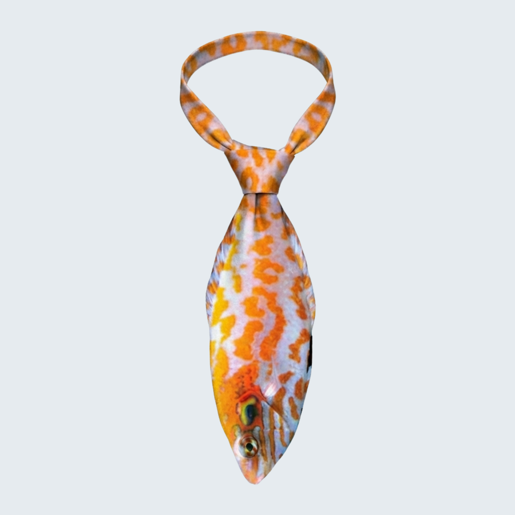 Evolyx© Red Leopard Wrasse