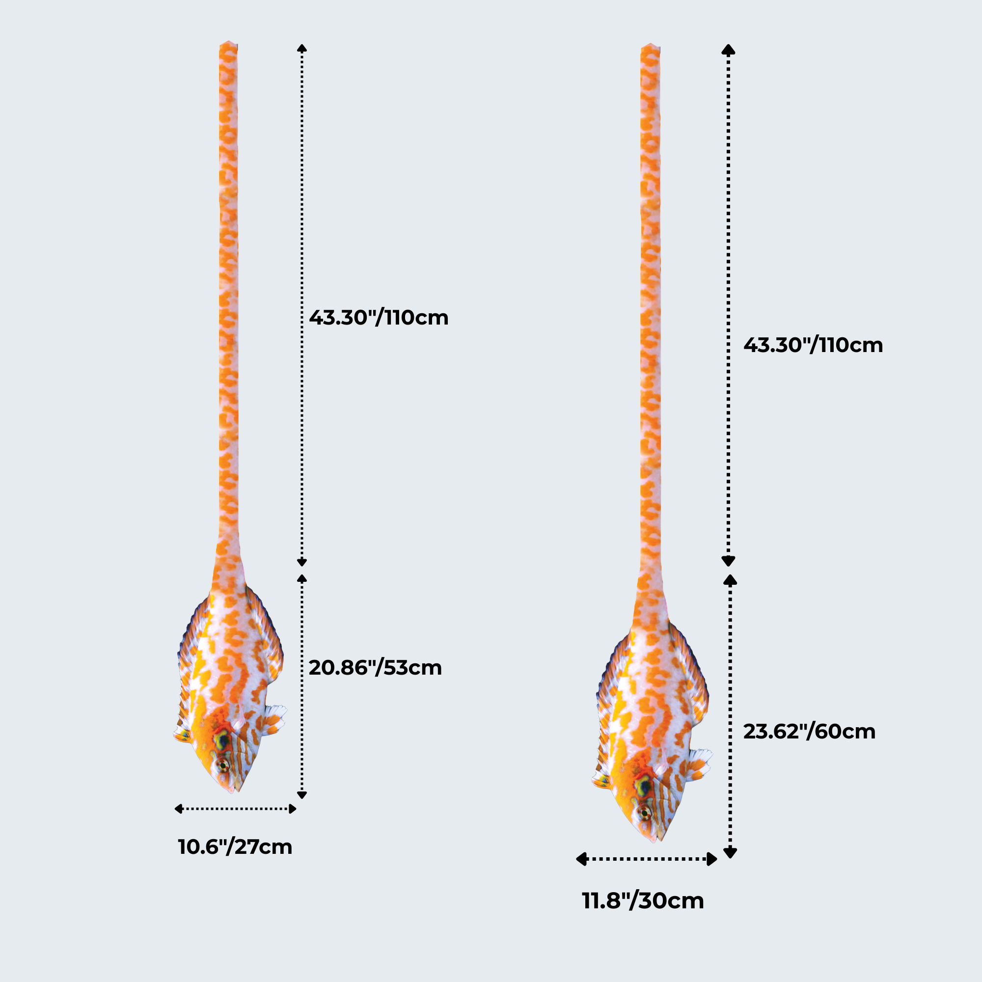 Evolyx© Red Leopard Wrasse
