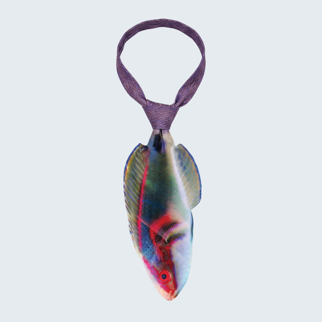 Evolyx© Exquisite Fairy Wrasse